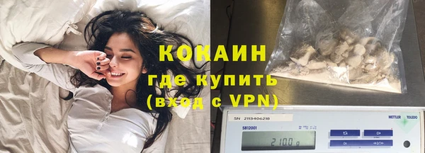 прущие грибы Елизово