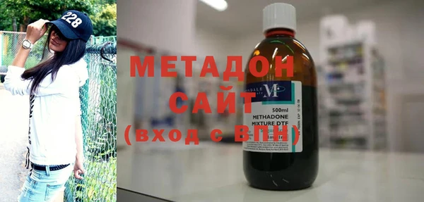 прущие грибы Елизово