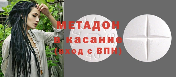 прущие грибы Елизово