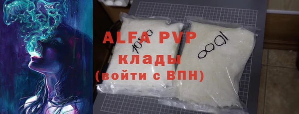 прущие грибы Елизово