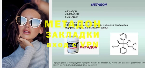 прущие грибы Елизово