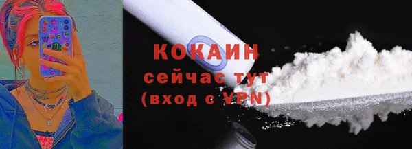 прущие грибы Елизово