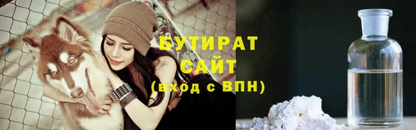 прущие грибы Елизово