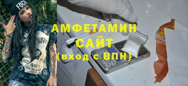прущие грибы Елизово