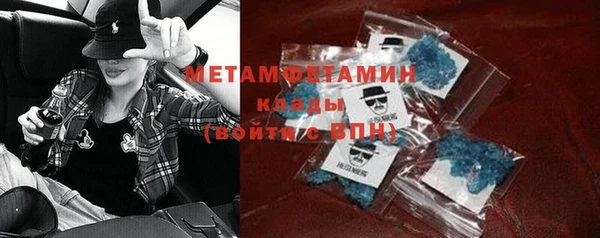 прущие грибы Елизово