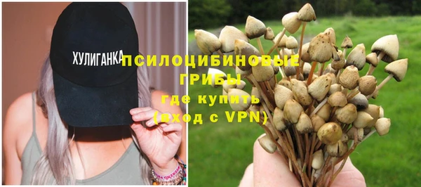 прущие грибы Елизово
