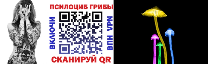Купить  Красноуральск  Псилоцибиновые грибы Psilocybe 